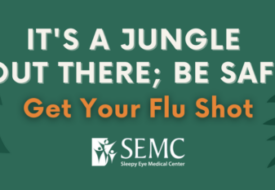 Get Your Flu Shot Banner